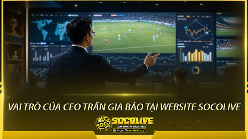 Vai trò của CEO Trần Gia Bảo tại Socolivetv Vai trò của CEO Trần Gia Bảo tại Socolivetv