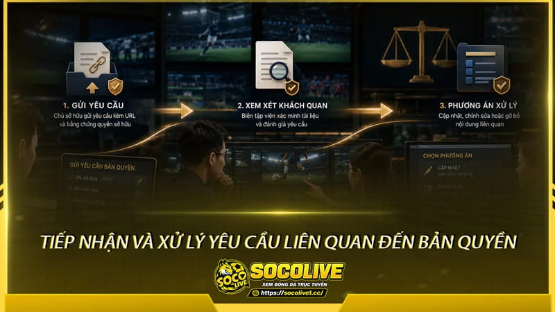 Tiếp nhận và xử lý yêu cầu liên quan đến bản quyền tại Socolive Tiếp nhận và xử lý yêu cầu liên quan đến bản quyền tại Socolive